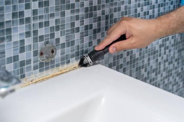 Best Mold Remediation for Specific Building Types in Bound Brook, NJ